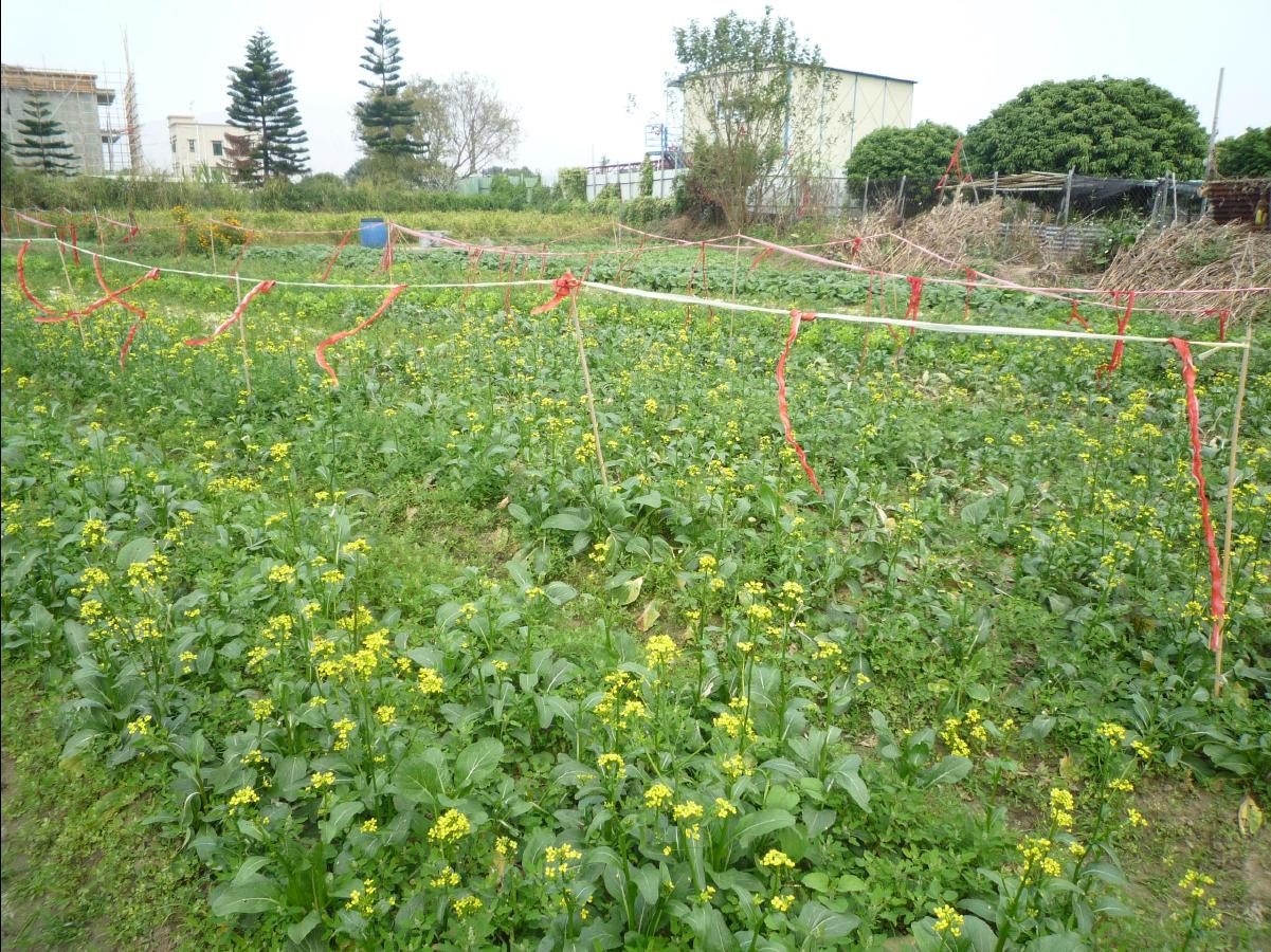 20101127 THE Organic Farm22